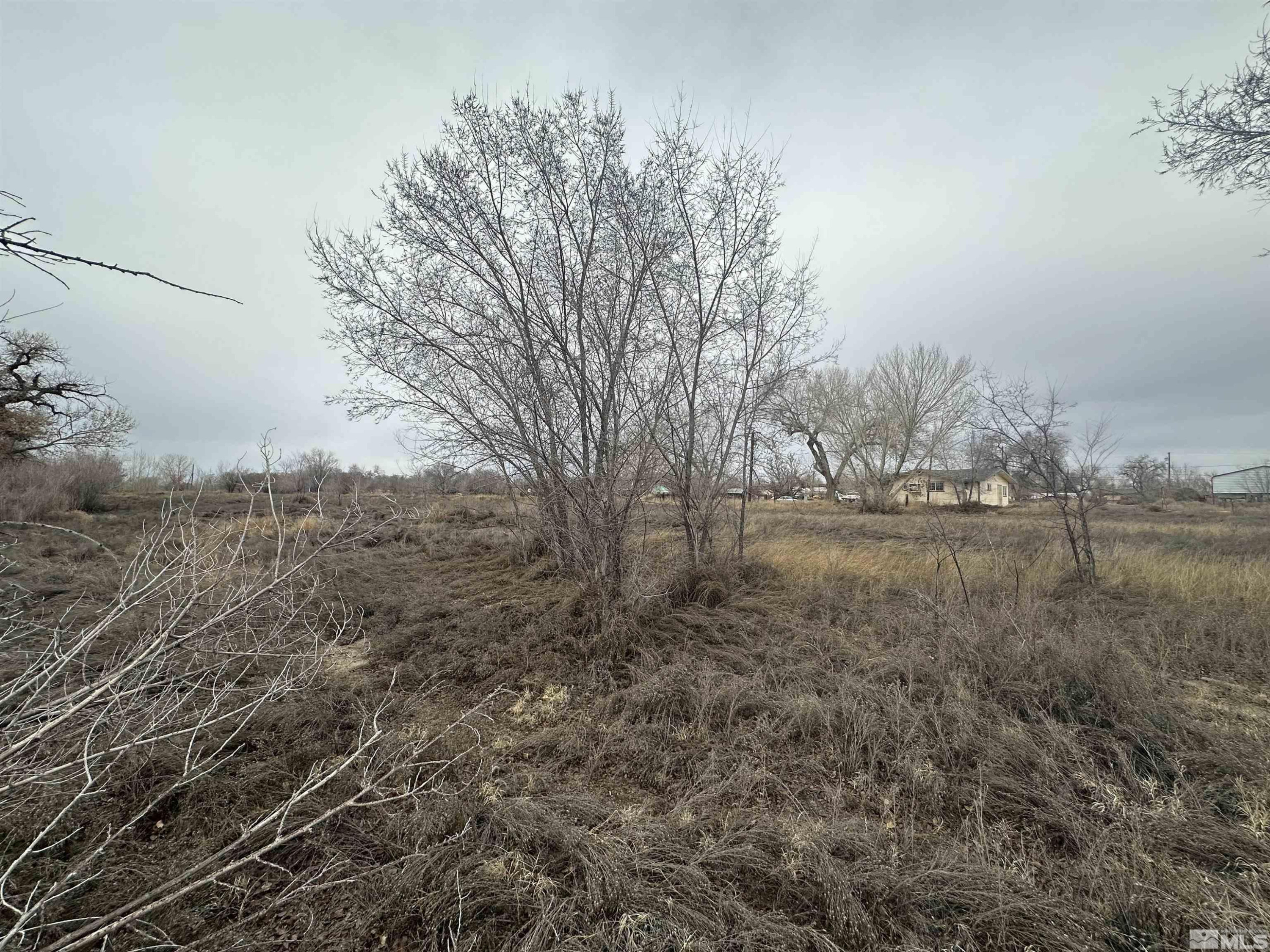 3275 Alcorn Road Fallon, NV 89406 - Photo 24 of 33 a view of outdoor space and yard