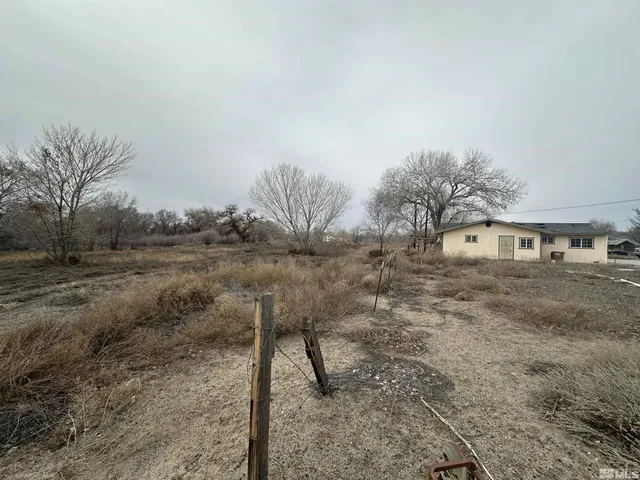 a view of a backyard with large trees