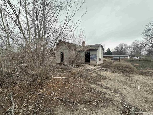 a view of a yard with a tree