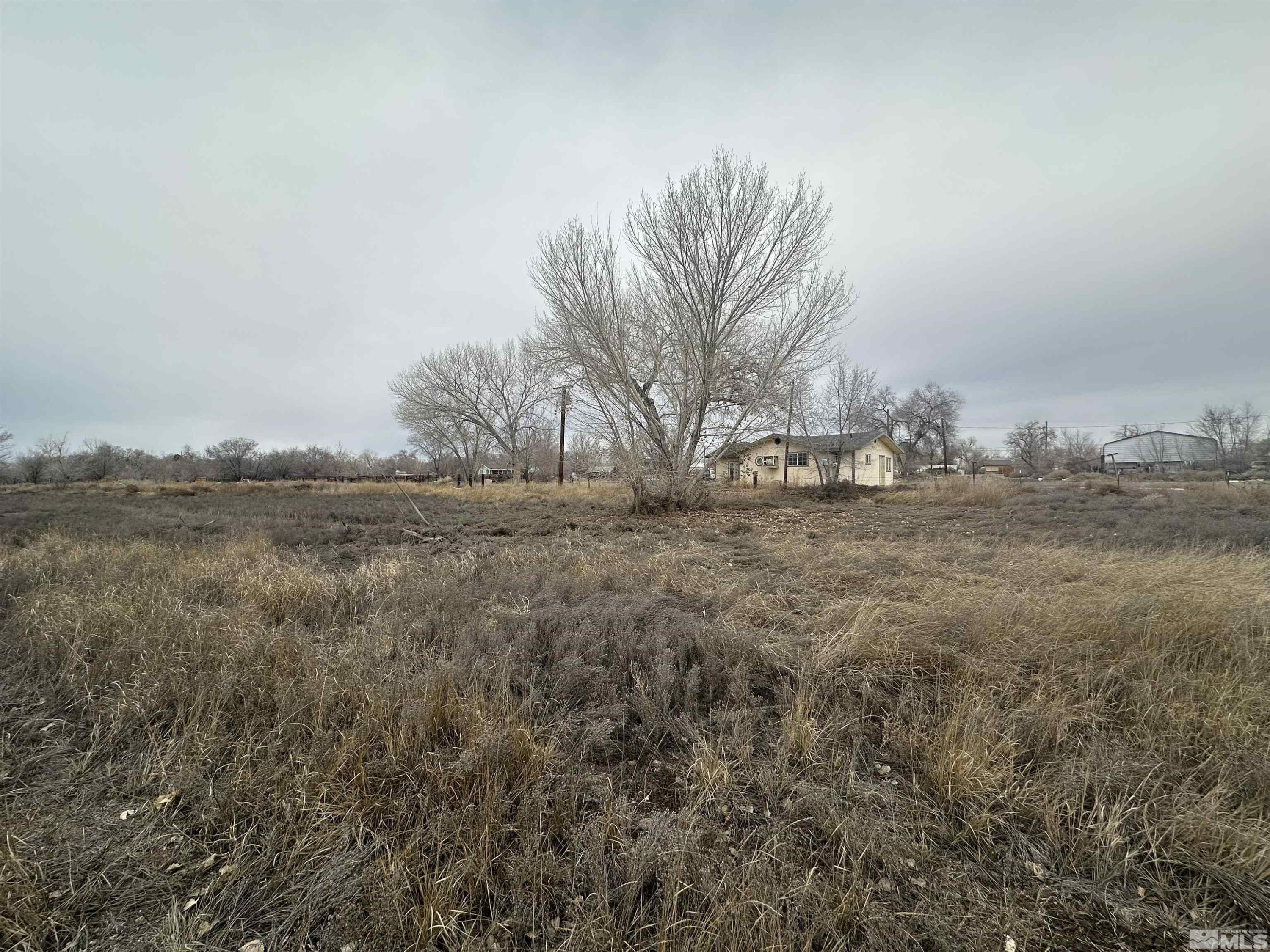 3275 Alcorn Road Fallon, NV 89406 - Photo 3 of 33 a view of dirt field with trees
