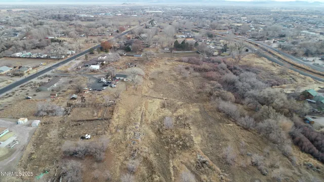 a view of a dry yard