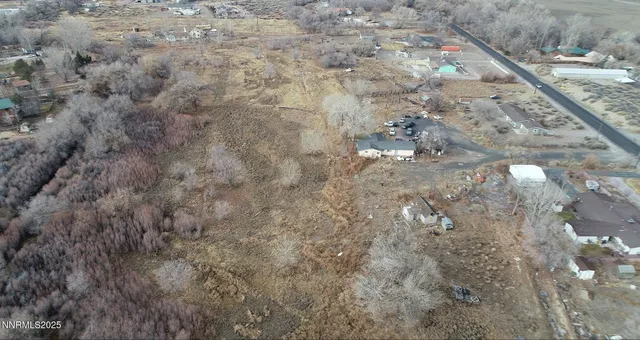 a view of a dry yard with trees