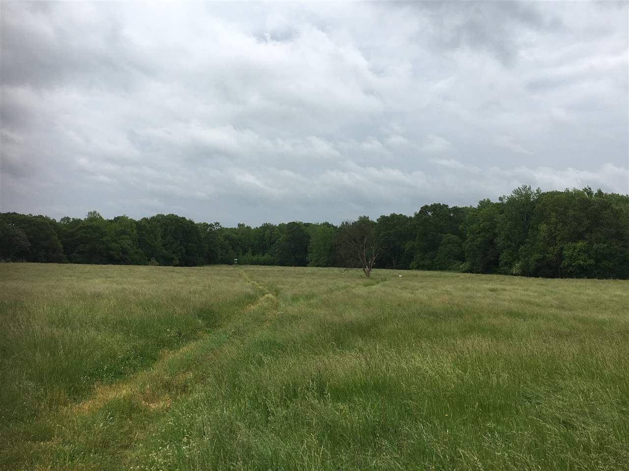 Lot 50 Rhodes Road Woodruff, SC 29388 - Photo 1 of 1