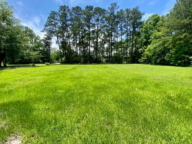 41312 South Range Road Ponchatoula, LA 70454 - Photo 21 of 24 Gallery Image 21
