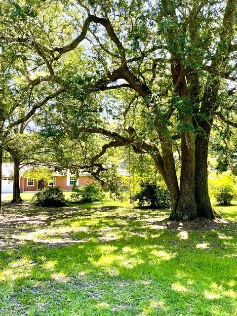 41312 South Range Road Ponchatoula, LA 70454 - Photo 3 of 24 Gallery Image 3