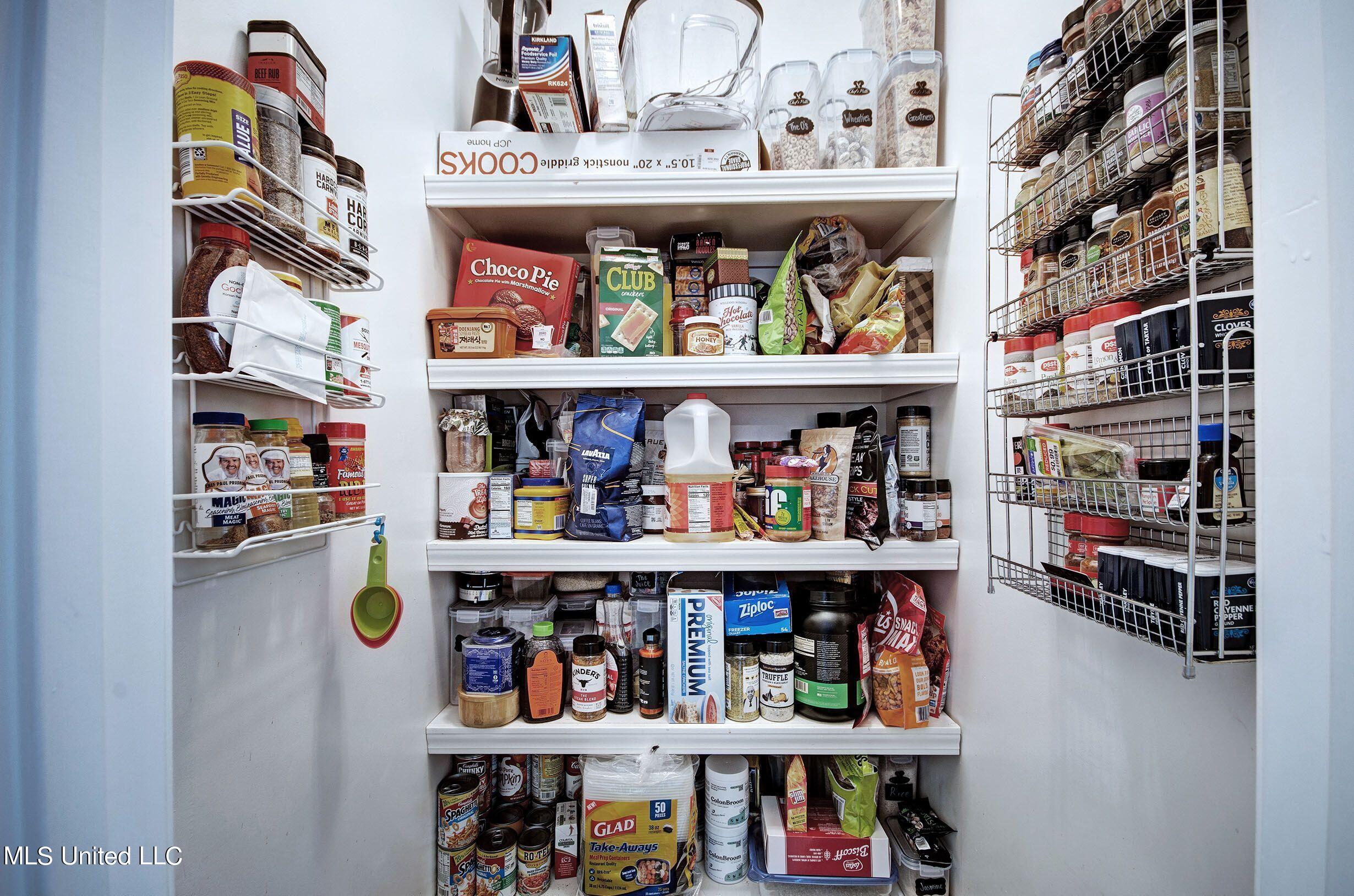 121 Prescott Ridge Madison, MS 39110 - Photo 18 of 33 pantry