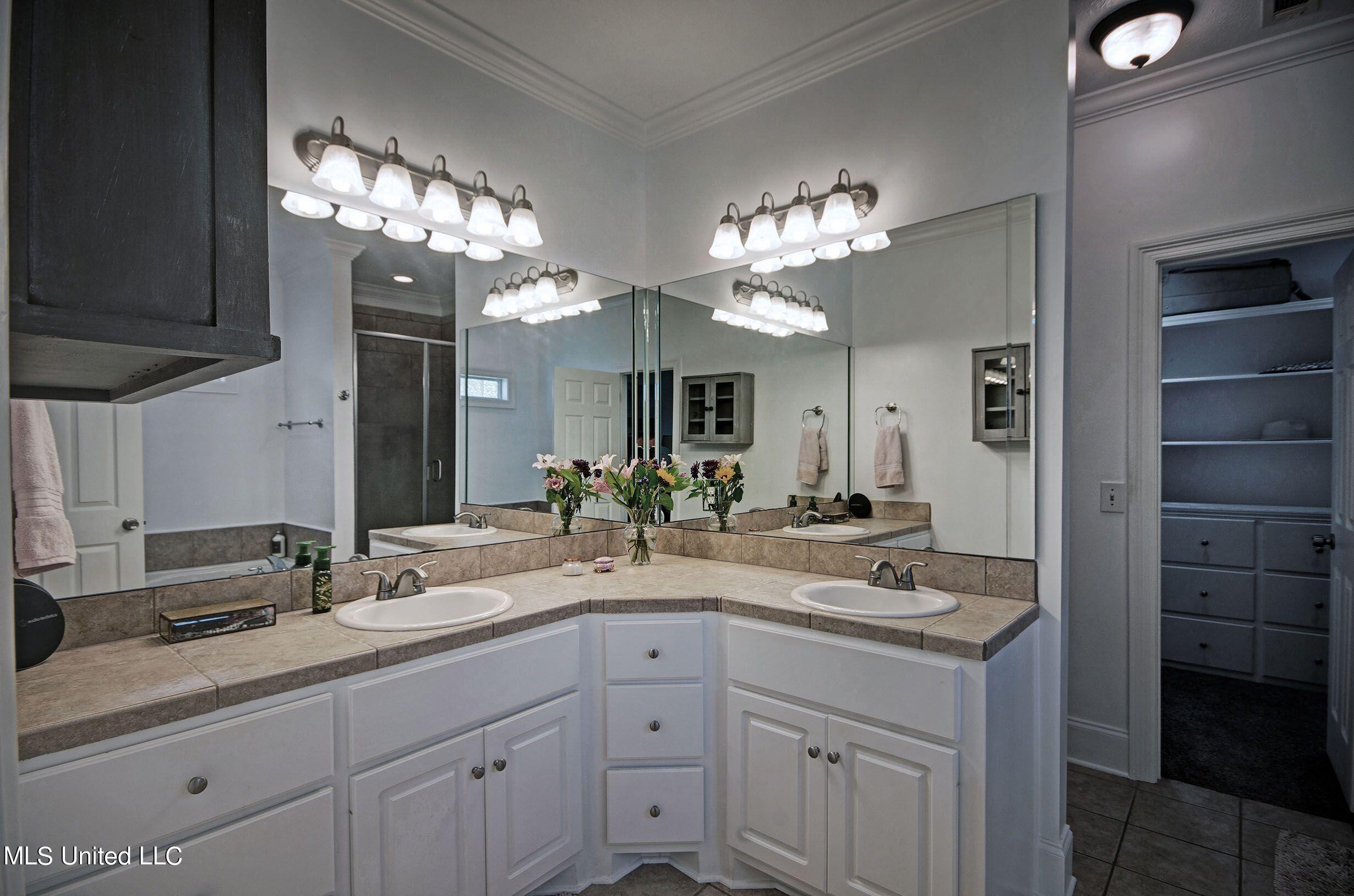121 Prescott Ridge Madison, MS 39110 - Photo 23 of 33 primary bath