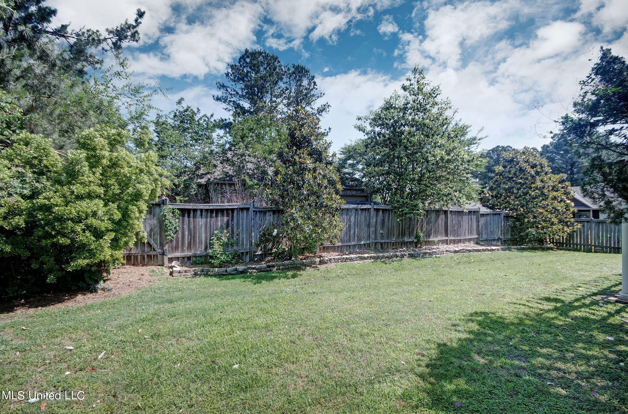 121 Prescott Ridge Madison, MS 39110 - Photo 7 of 33 backyard 2