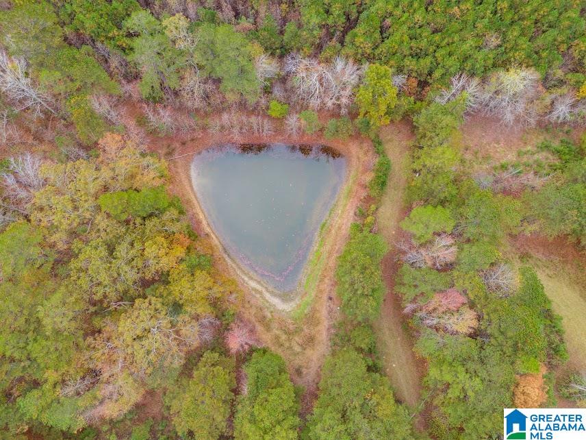 607 County Road 88 Fruithurst, AL 36262 - Photo 10 of 16