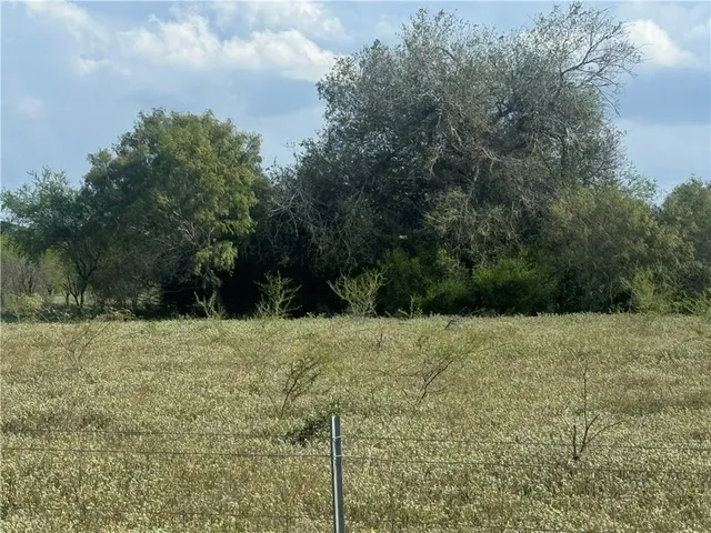 a big yard with trees in the background