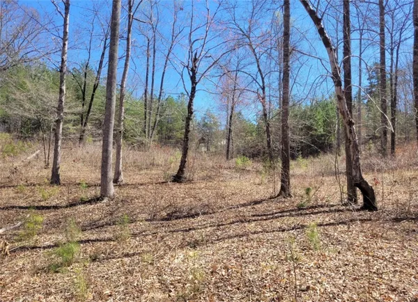 $185,000 | Lot 48-49 Stardust Lane, Seneca, SC 29672