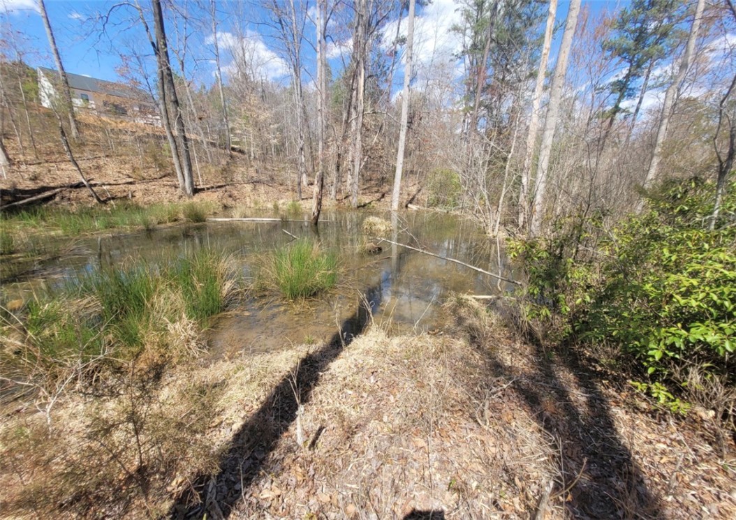 Lot 48-49 Stardust Lane Seneca, SC 29672 - Photo 20 of 36