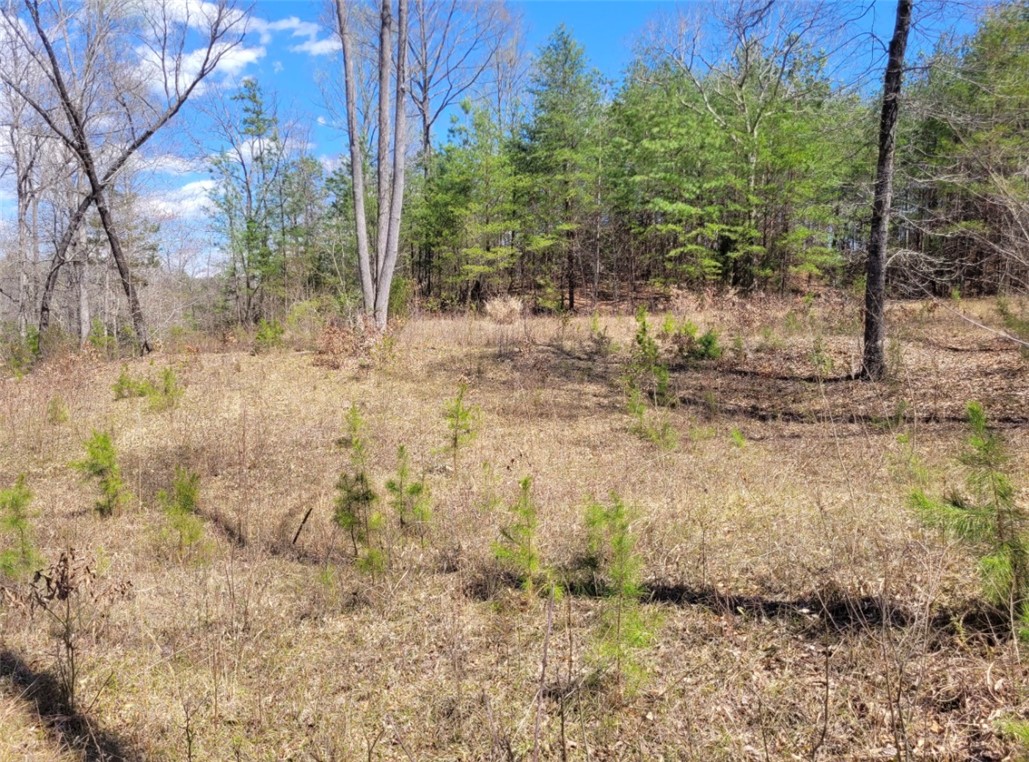 Lot 48-49 Stardust Lane Seneca, SC 29672 - Photo 2 of 36