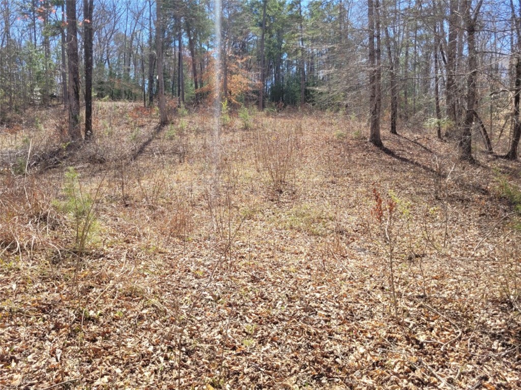 Lot 48-49 Stardust Lane Seneca, SC 29672 - Photo 23 of 36