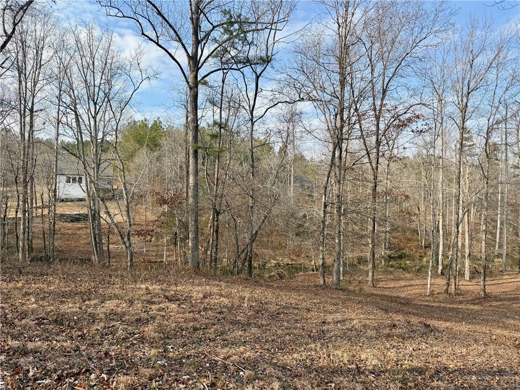 Lot 48-49 Stardust Lane Seneca, SC 29672 - Photo 29 of 36