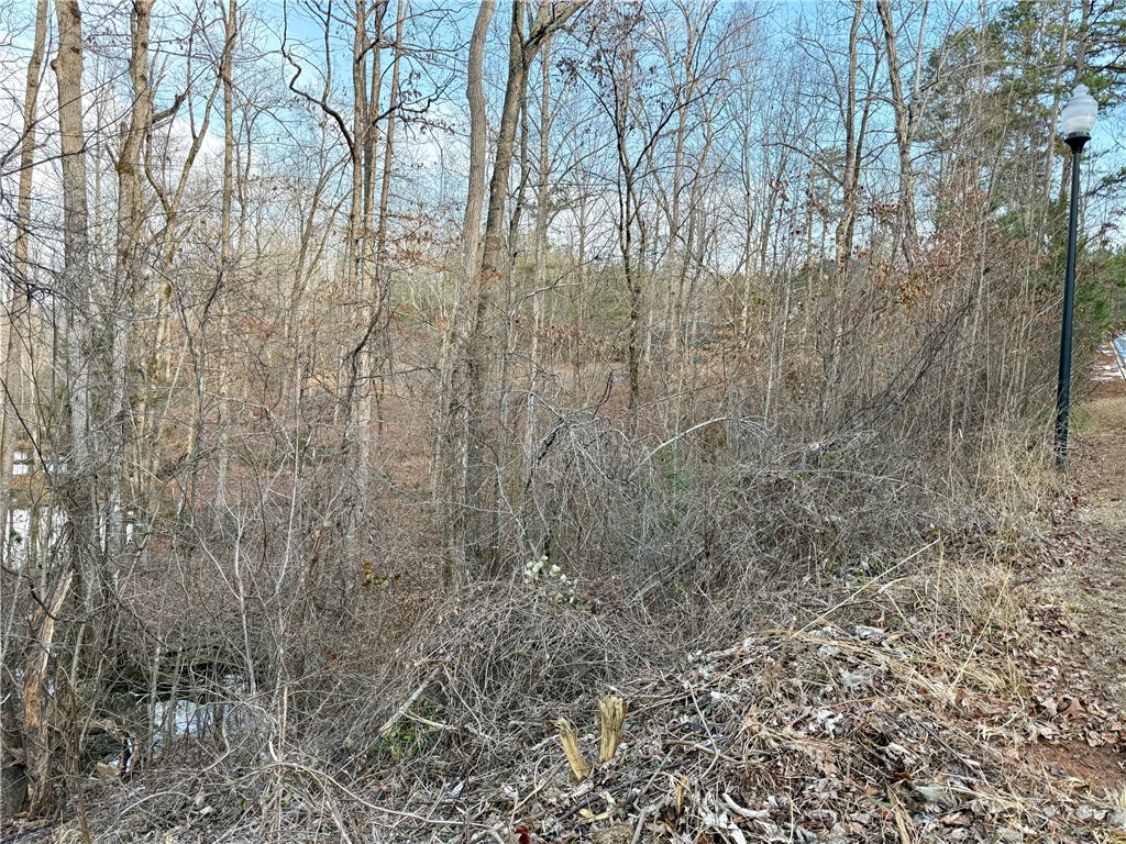 Lot 48-49 Stardust Lane Seneca, SC 29672 - Photo 33 of 36