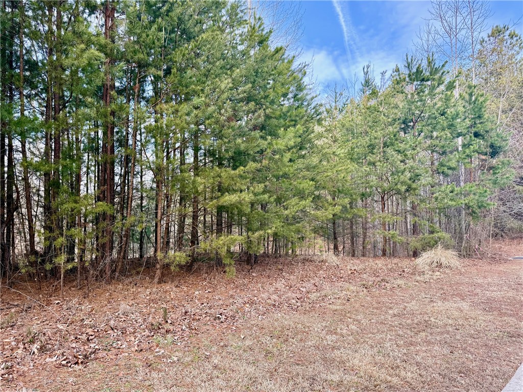 Lot 48-49 Stardust Lane Seneca, SC 29672 - Photo 9 of 36