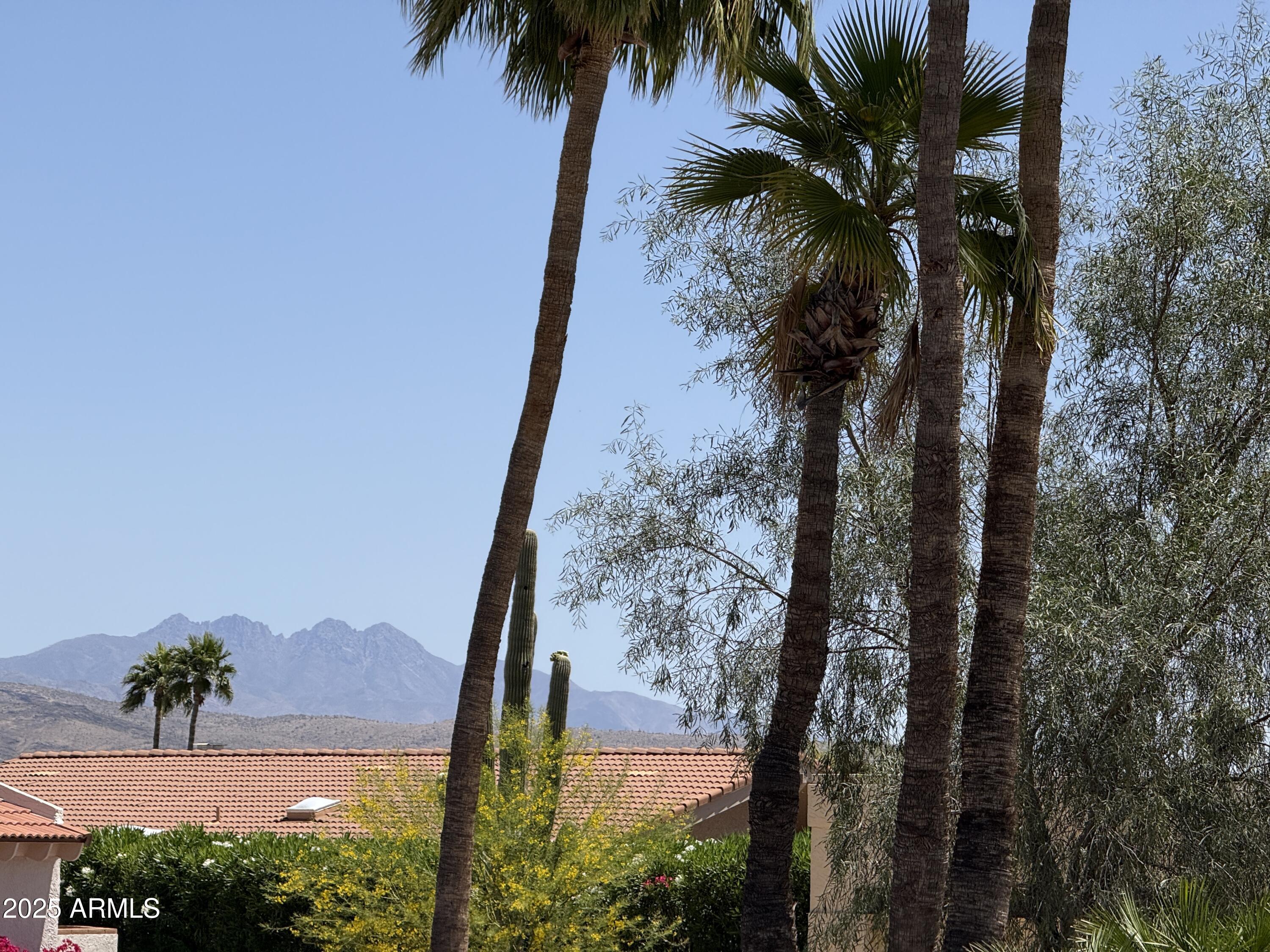 25630 Desoto Lane Rio Verde, AZ 85263 - Photo 13 of 45 IMG_0411