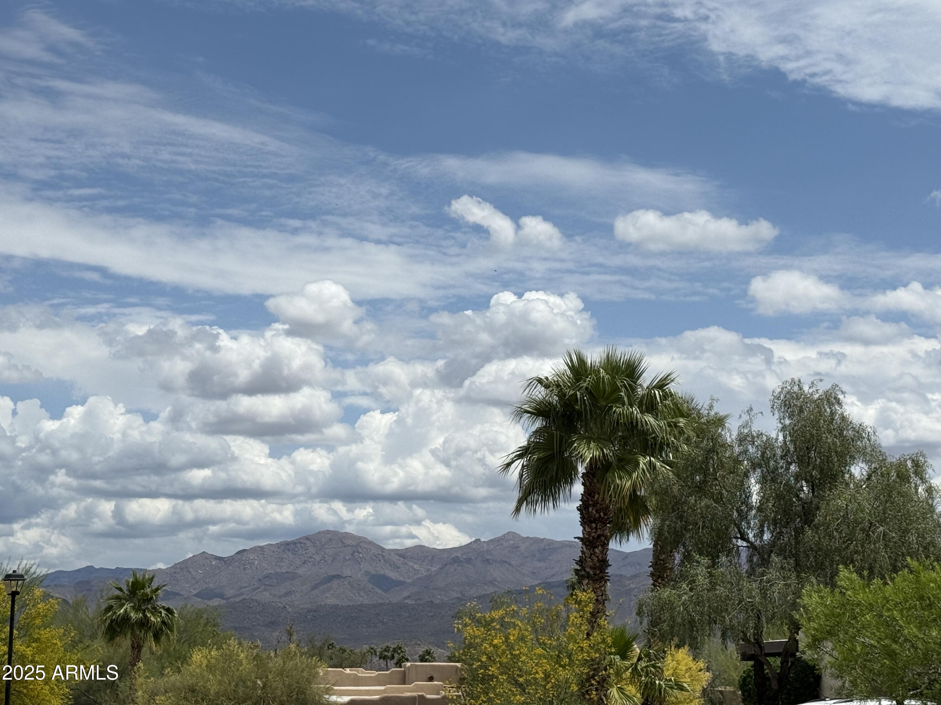 25630 Desoto Lane Rio Verde, AZ 85263 - Photo 14 of 45 IMG_0703