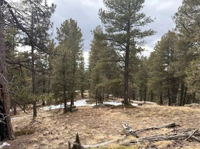 $45,000 | 84 Point View Circle, Florissant, CO 80816