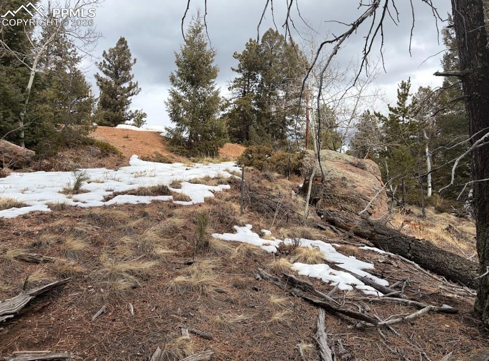 84 Point View Circle Florissant, CO 80816 - Photo 3 of 9