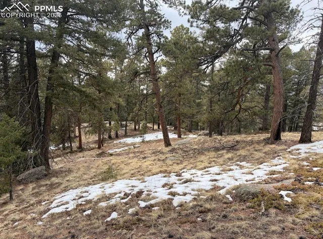 $45,000 | 84 Point View Circle, Florissant, CO 80816