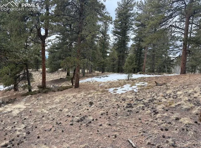 $45,000 | 84 Point View Circle, Florissant, CO 80816