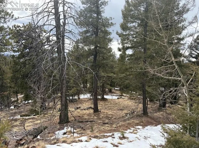 $45,000 | 84 Point View Circle, Florissant, CO 80816