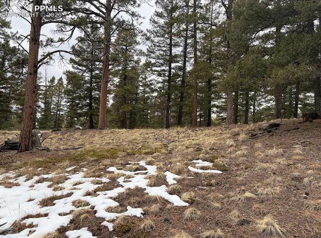 $45,000 | 84 Point View Circle, Florissant, CO 80816