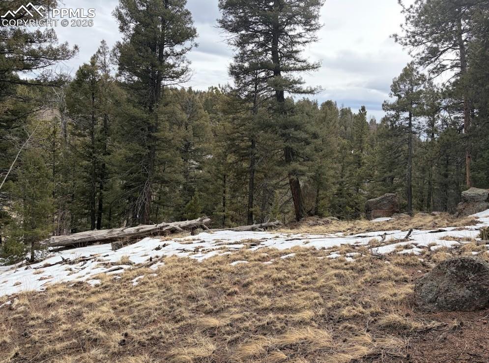 84 Point View Circle Florissant, CO 80816 - Photo 8 of 9
