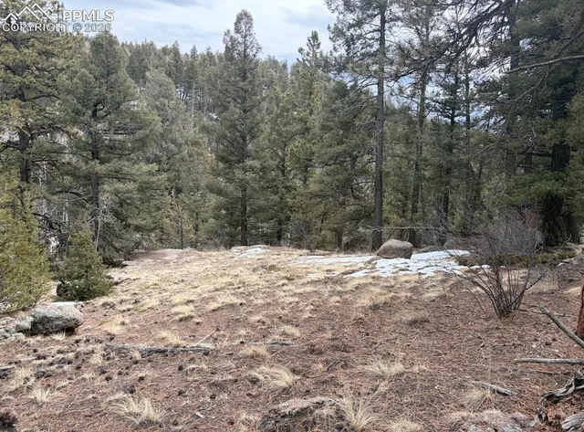 $45,000 | 84 Point View Circle, Florissant, CO 80816