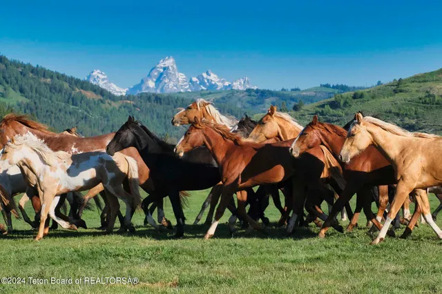 $65,000,000 | 15400 Gros Ventre Road, Moose, WY 83012