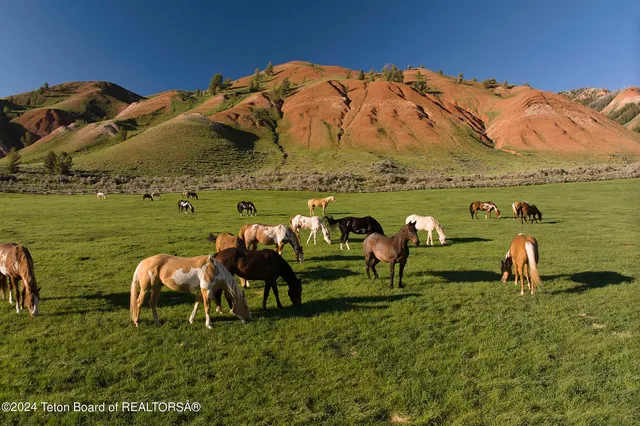 $65,000,000 | 15400 Gros Ventre Road, Moose, WY 83012