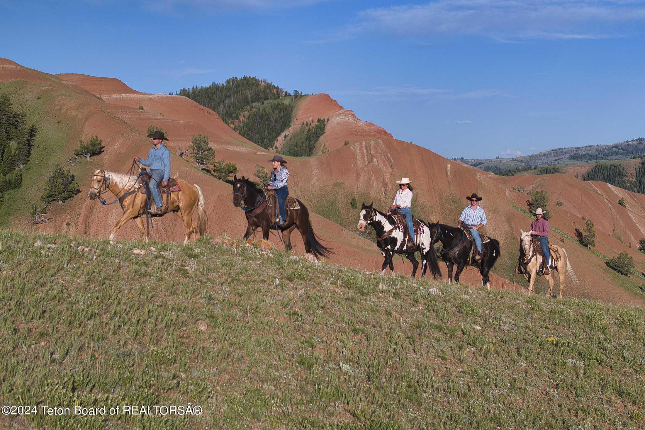 15400 Gros Ventre Road Moose, WY 83012 - Photo 23 of 65 red-hills-ranch-jackson-hole-wyoming-45