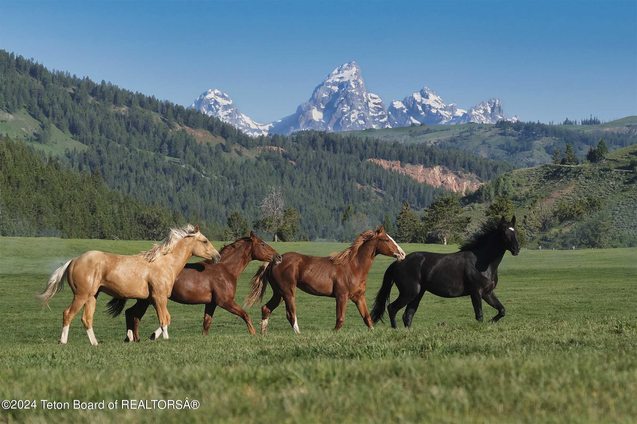 15400 Gros Ventre Road Moose, WY 83012 - Photo 3 of 65 red-hills-ranch-jackson-hole-wyoming-25