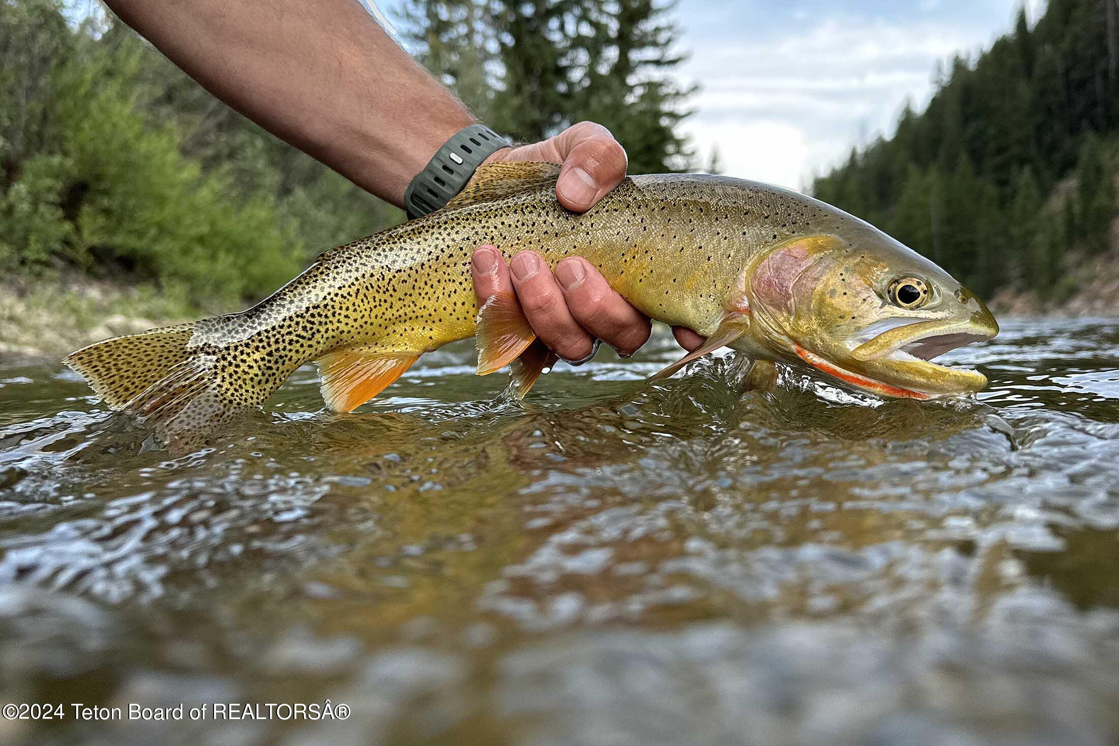 15400 Gros Ventre Road Moose, WY 83012 - Photo 40 of 65 red-hills-ranch-jackson-hole-wyoming-65