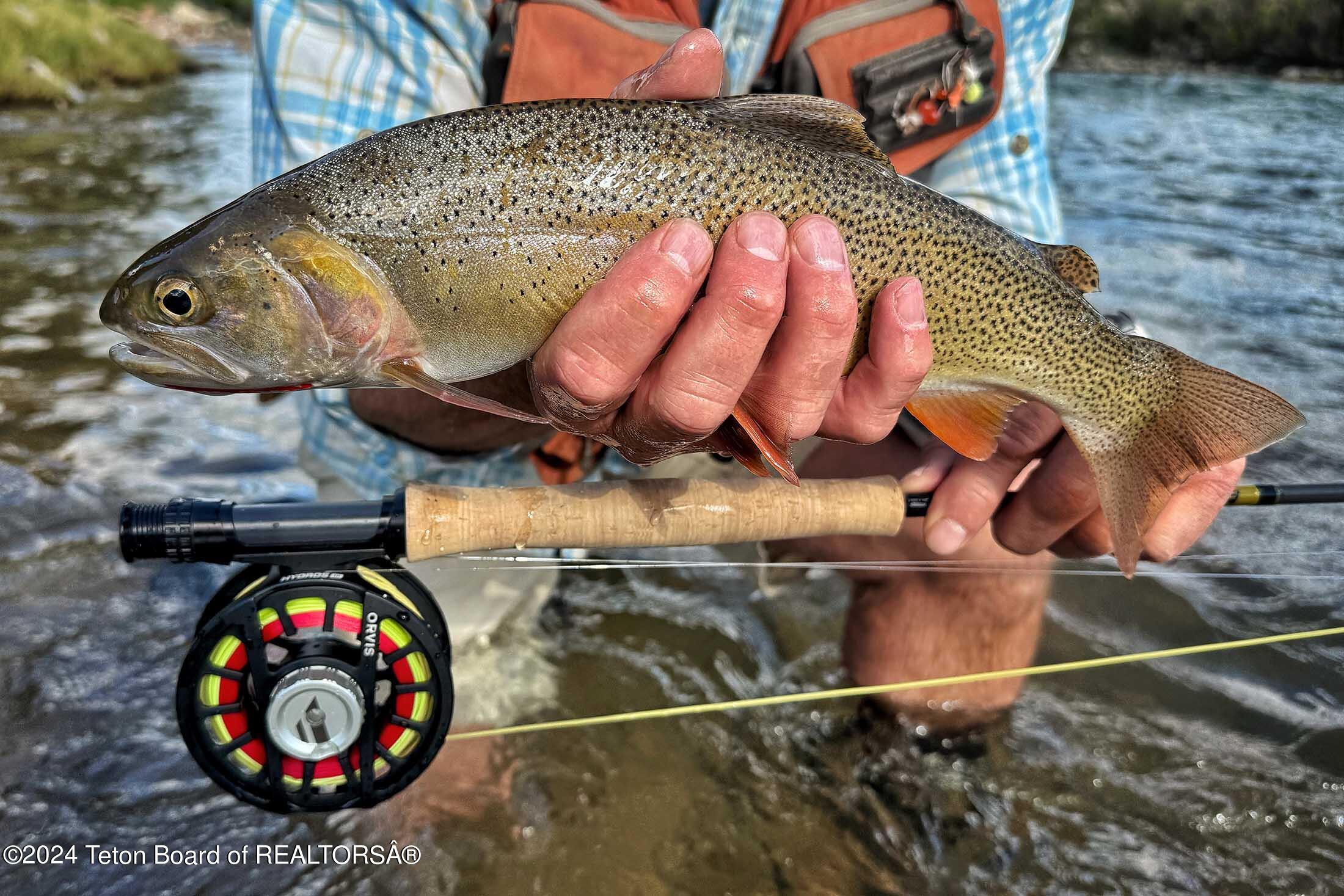 15400 Gros Ventre Road Moose, WY 83012 - Photo 58 of 65 red-hills-ranch-jackson-hole-wyoming-50
