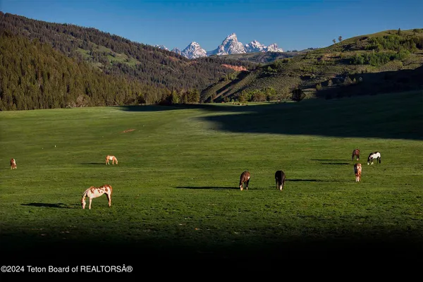 $65,000,000 | 15400 Gros Ventre Road, Moose, WY 83012