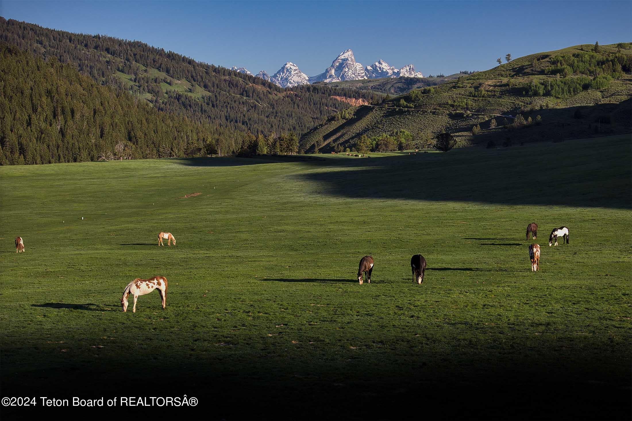 15400 Gros Ventre Road Moose, WY 83012 - Photo 61 of 65 red-hills-ranch-jackson-hole-wyoming-13