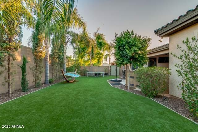 2509 West Corral Road Phoenix, AZ 85041 - Photo 61 of 69 corral065