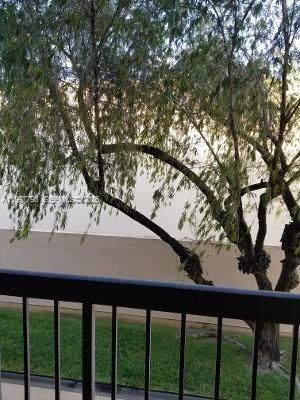 10425 Southwest 112th Avenue, Unit 211 Miami, FL 33176 - Photo 18 of 18 a view of tree from a balcony