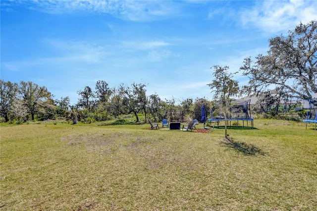a view of large trees with a yard