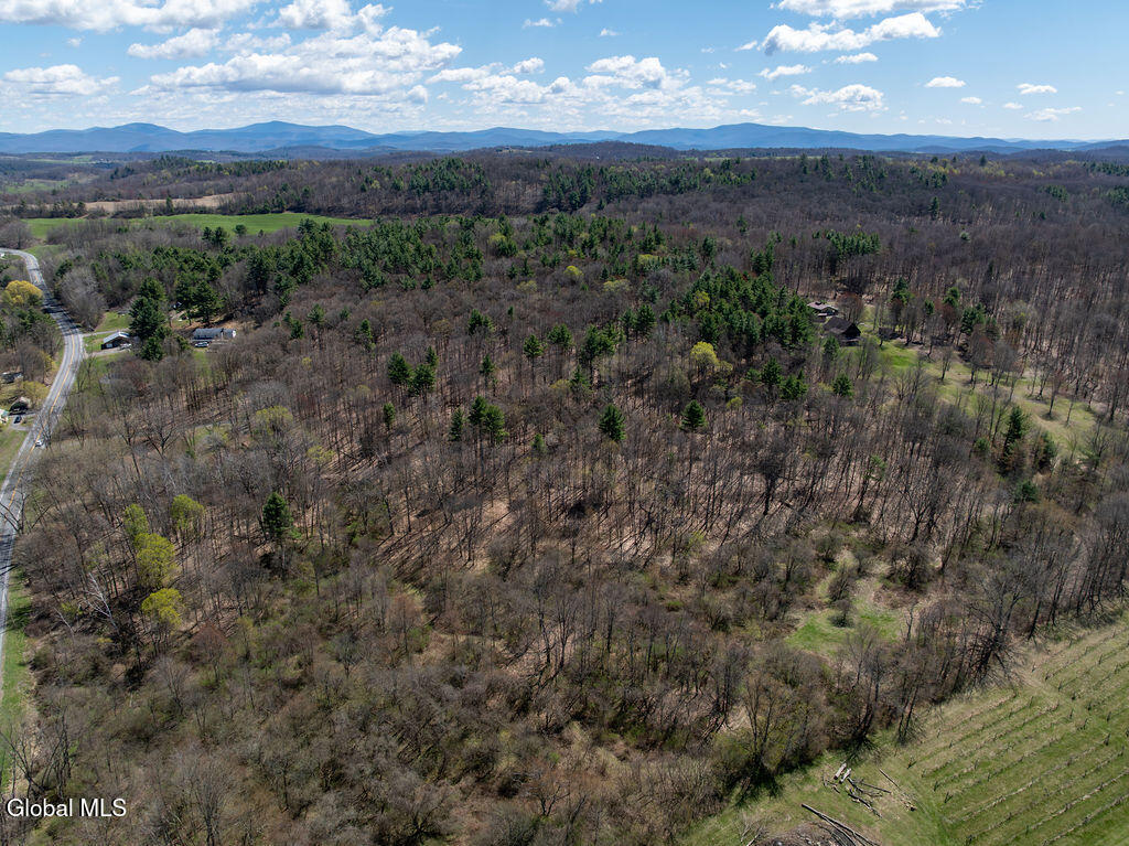 1483 County Rte 49 Argyle, NY 12809 - Photo 12 of 31 wooded view