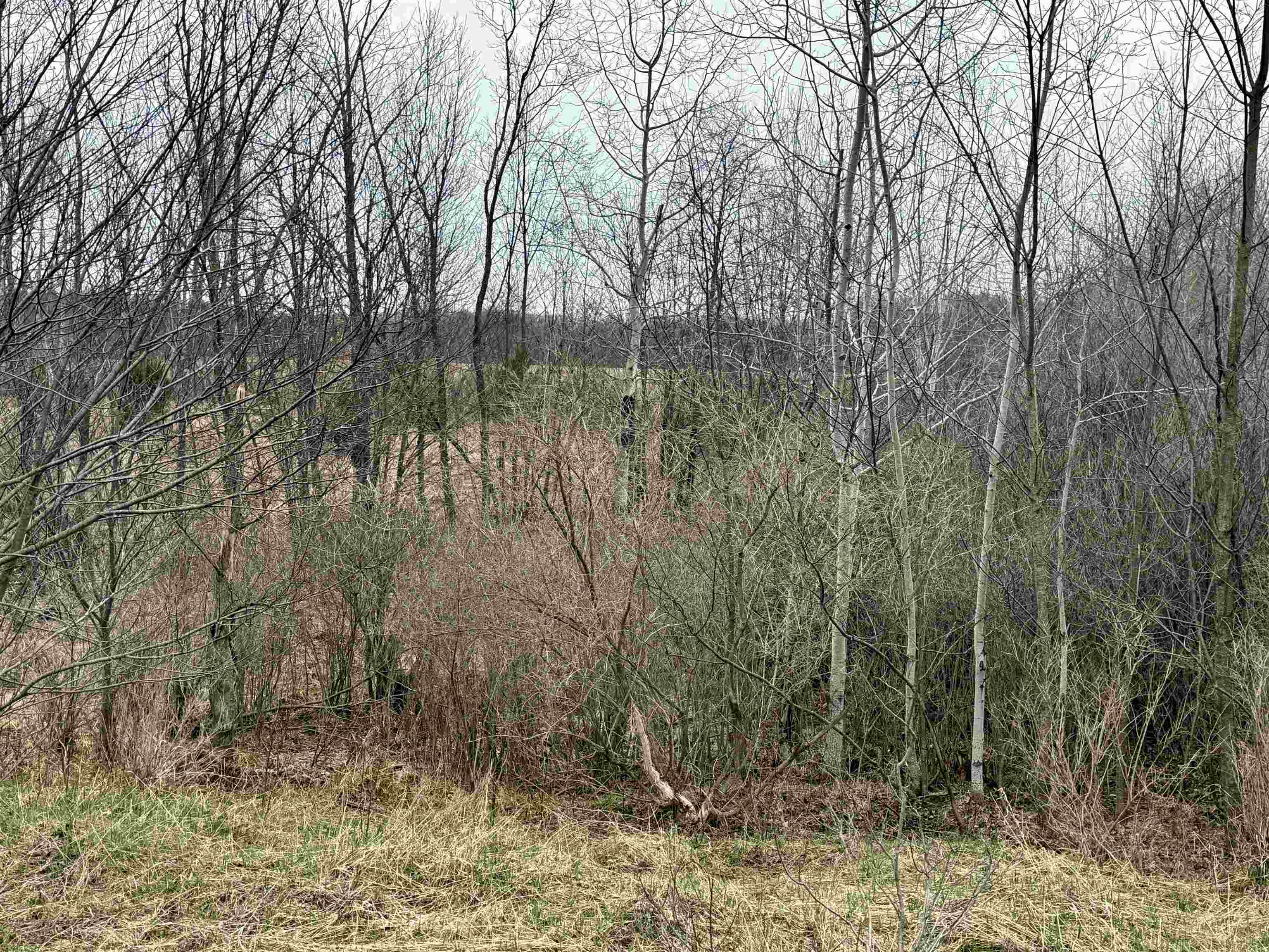 Gleaner Hall Road Kingsley, MI 49649 - Photo 9 of 21