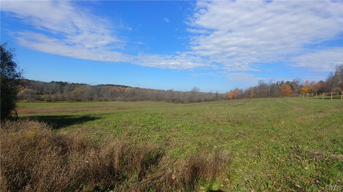 4187 Young Road Onondaga, NY 13215 - Photo 9 of 9