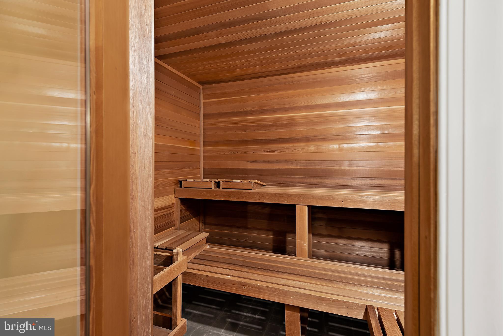 9621 River Road Potomac, MD 20854 - Photo 120 of 120 Sauna