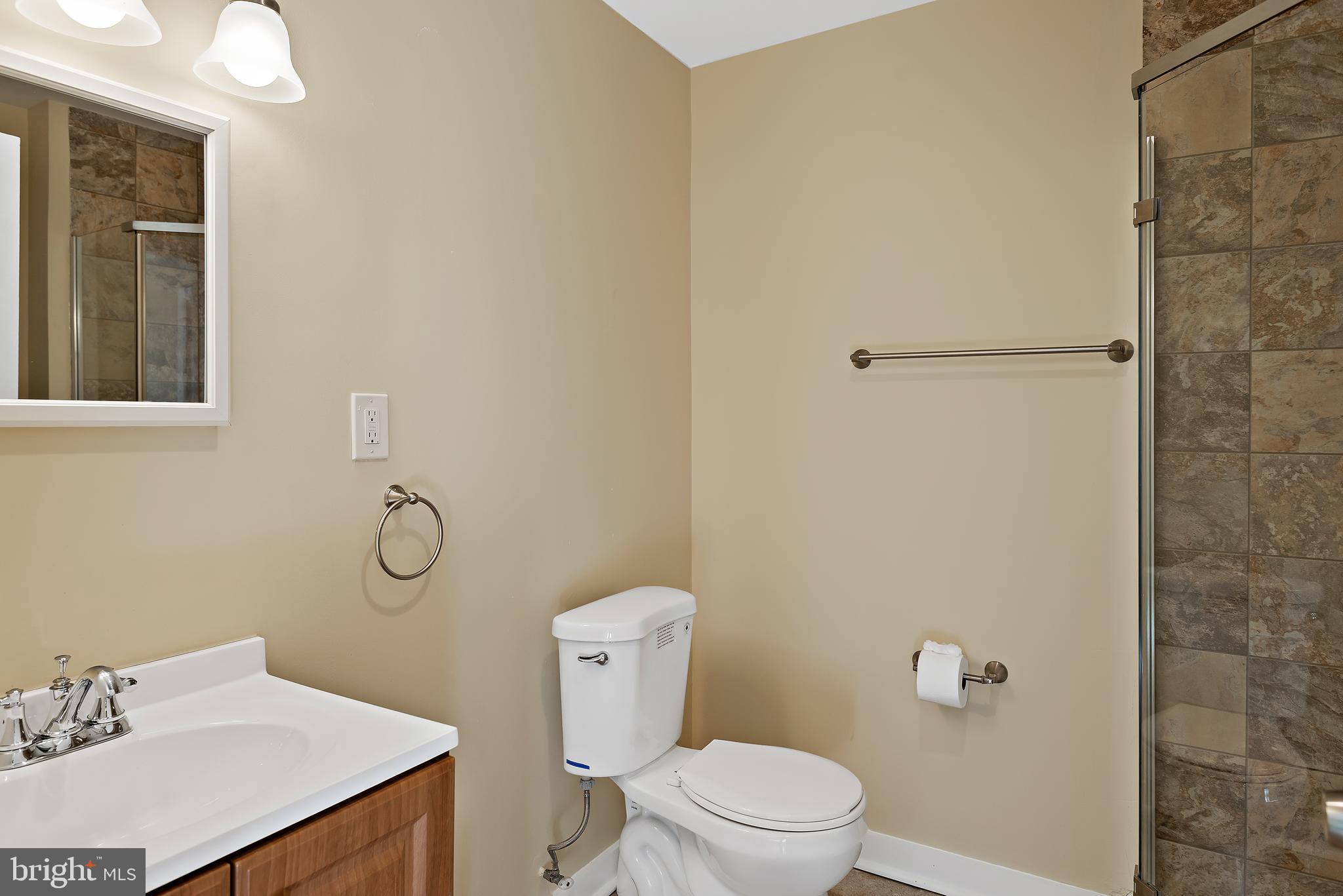 9621 River Road Potomac, MD 20854 - Photo 30 of 120 Full bathroom in pool house