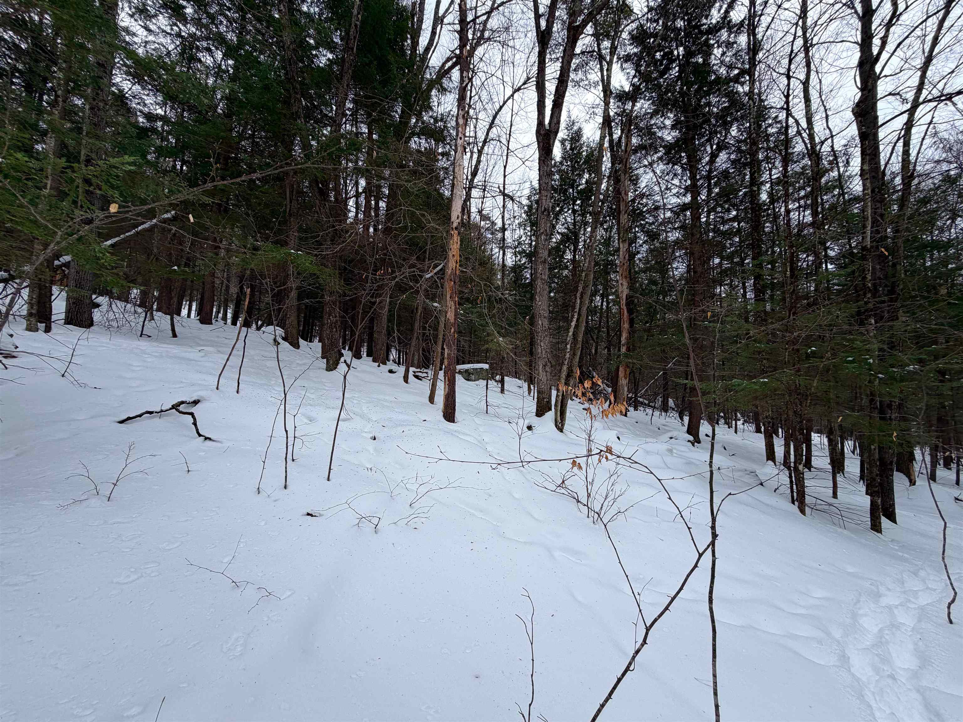 0 Town House Road, Unit 28 Cornish, NH 03745 - Photo 11 of 16