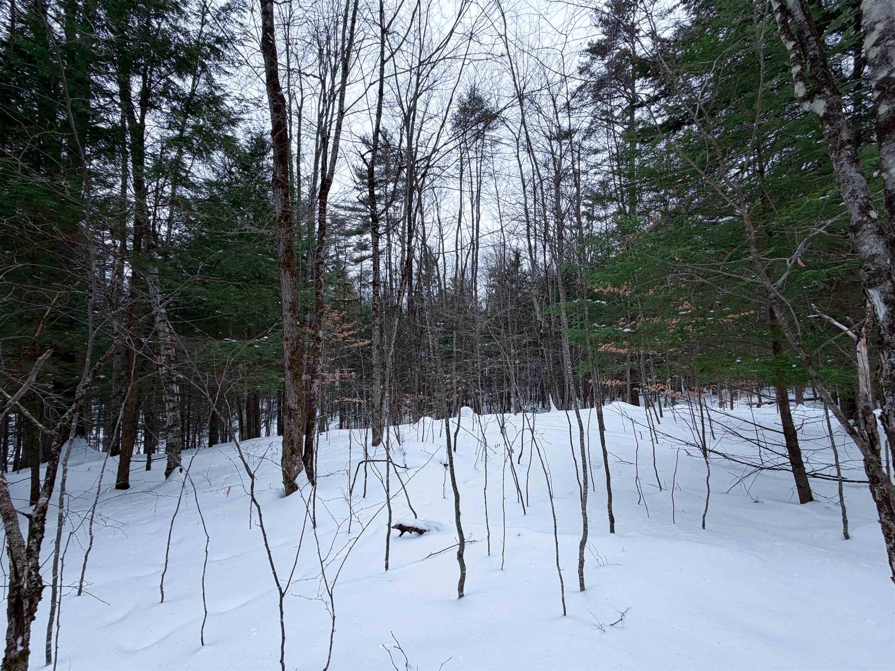 0 Town House Road, Unit 28 Cornish, NH 03745 - Photo 12 of 16