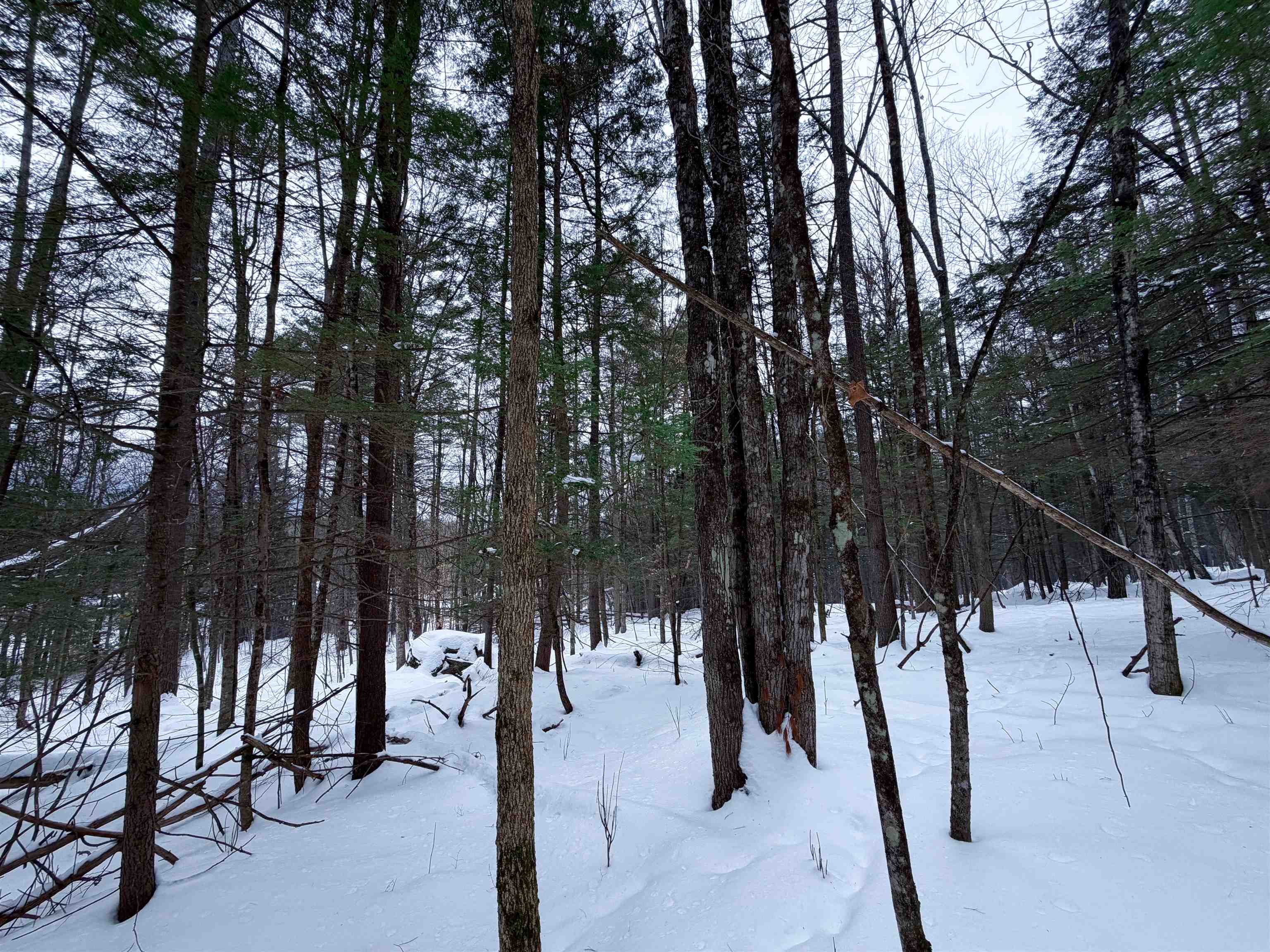 0 Town House Road, Unit 28 Cornish, NH 03745 - Photo 14 of 16